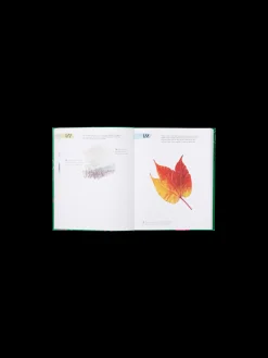 365 Days Of Creativity