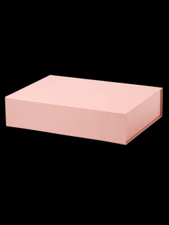 Aufbewahrungsbox Mit Magnet