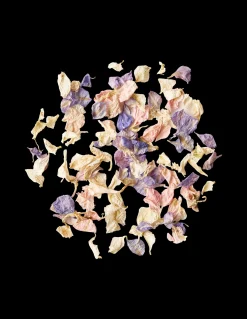 Biologisch Abbaubares Blumenkonfetti