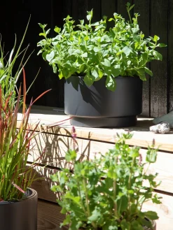 Blumentopf Heos Ø29,8 Cm