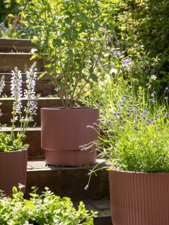 Blumentopf Heos Ø29,8 Cm