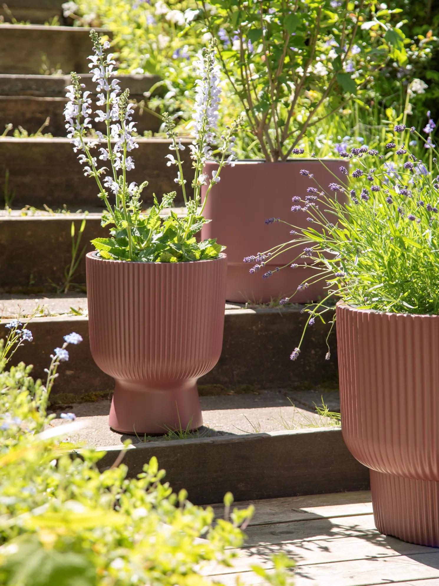 Blumentopf Milly Ø23,9 Cm