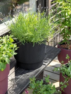 Blumentopf Milly Ø29,8 Cm