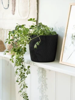 Blumentopf Milly Ø16,9 Cm