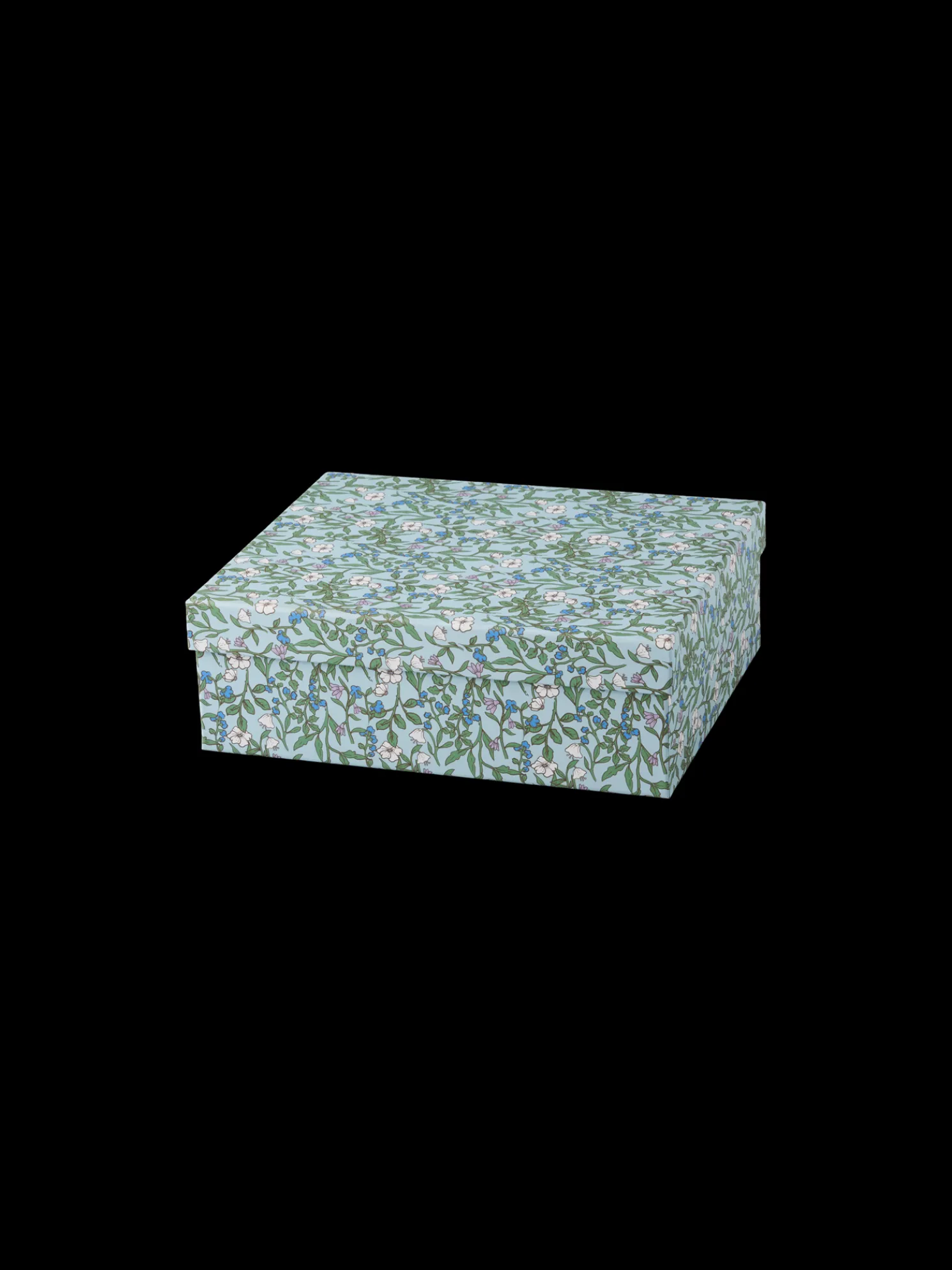 Box Mit Trennwänden