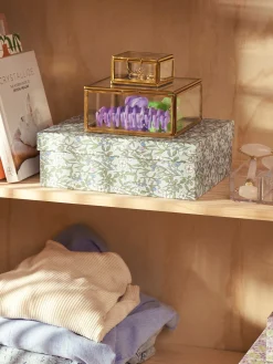 Box Mit Trennwänden