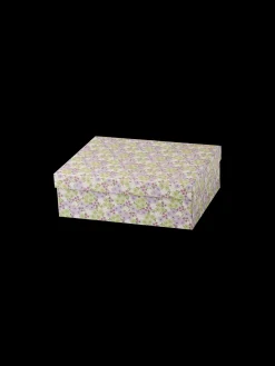 Box Mit Trennwänden