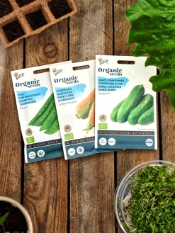 Buzzy® Bio-Erbsen Record