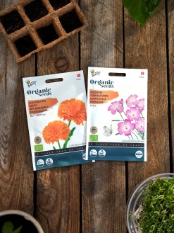 Buzzy® Bio-Ringelblume Ball‘s Orange