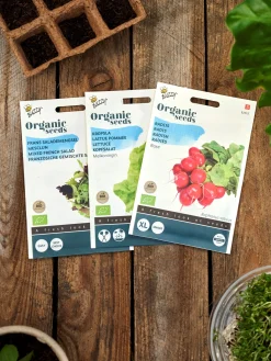 Buzzy® Französischer Bio-Salat-Mix