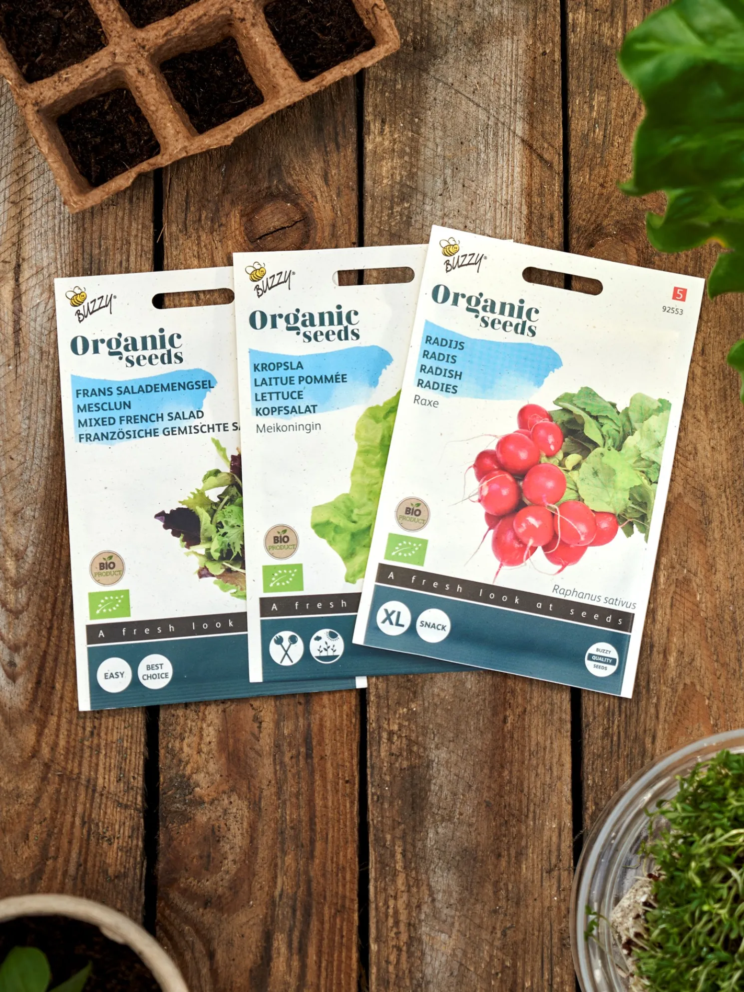 Buzzy® Französischer Bio-Salat-Mix