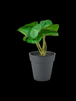 Künstliche Blume Im Topf