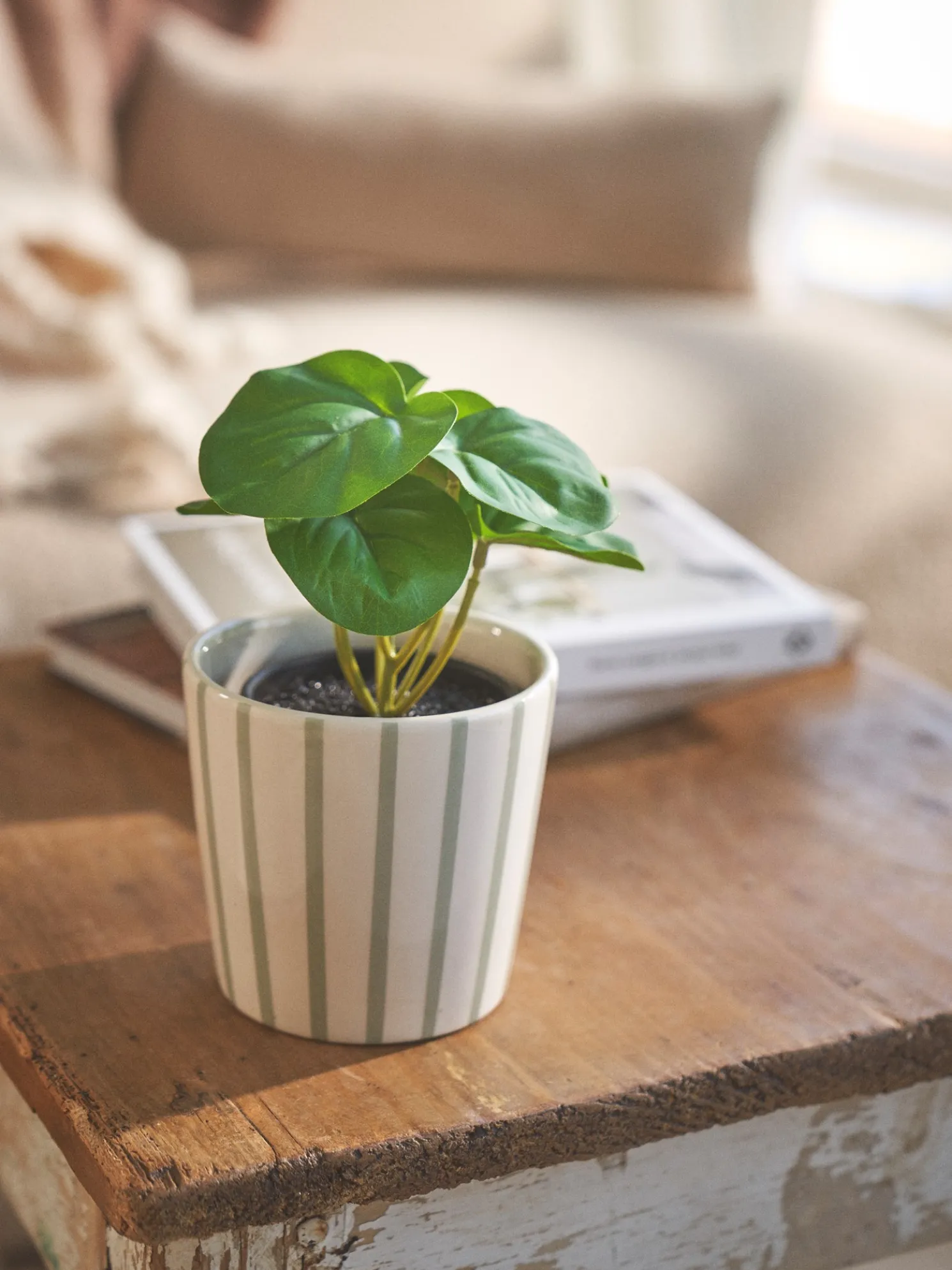 Künstliche Blume Im Topf