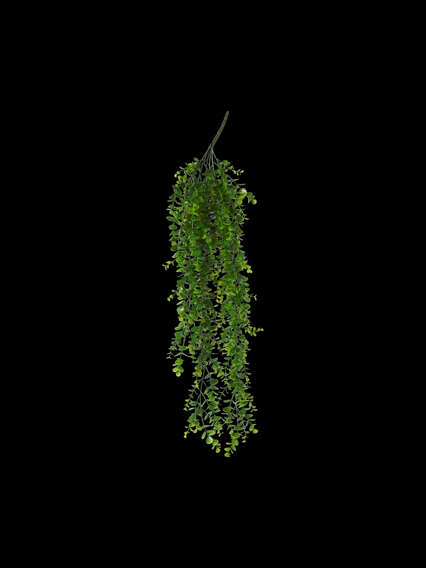 Künstlicher Eukalyptus