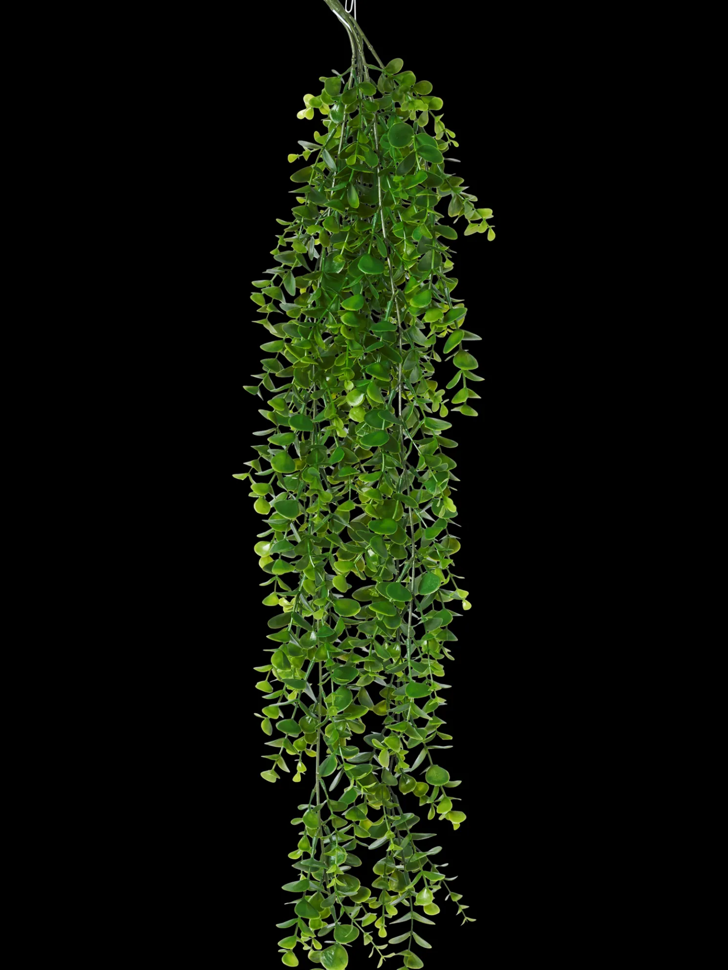 Künstlicher Eukalyptus