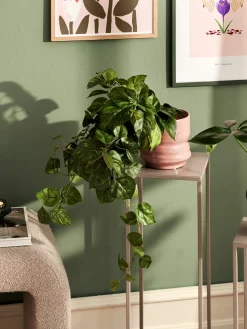 Künstlicher Pothos