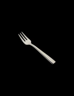 Kuchengabel Mit Glänzender Oberfläche