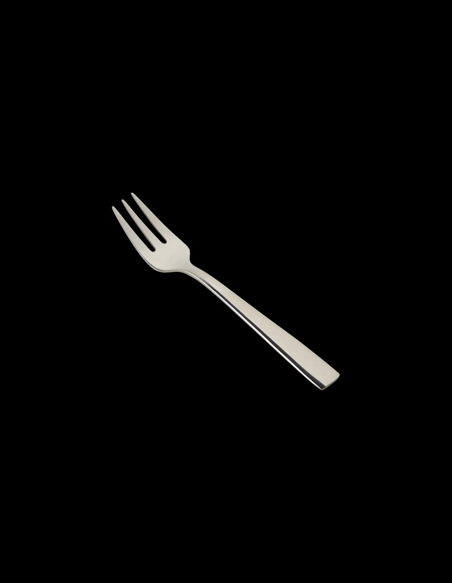 Kuchengabel Mit Glänzender Oberfläche