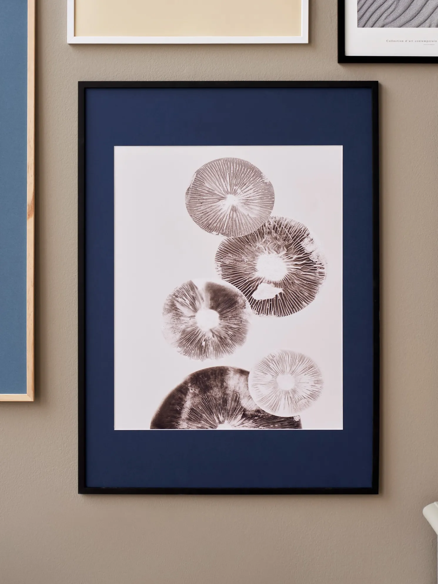 Passepartout Blue - 50 X 70/40 X 50