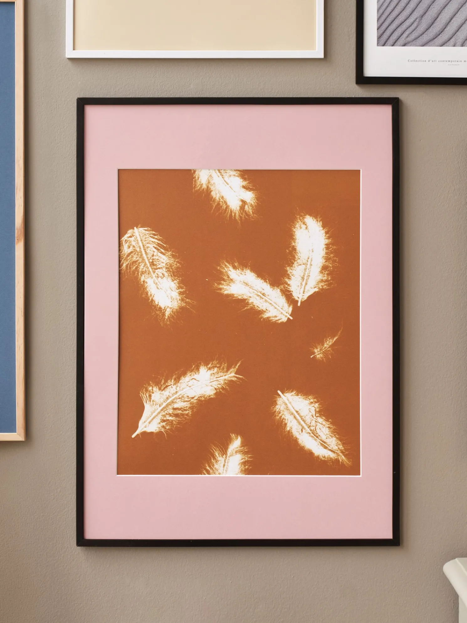 Passepartout Rose - 50 X 70/40 X 50