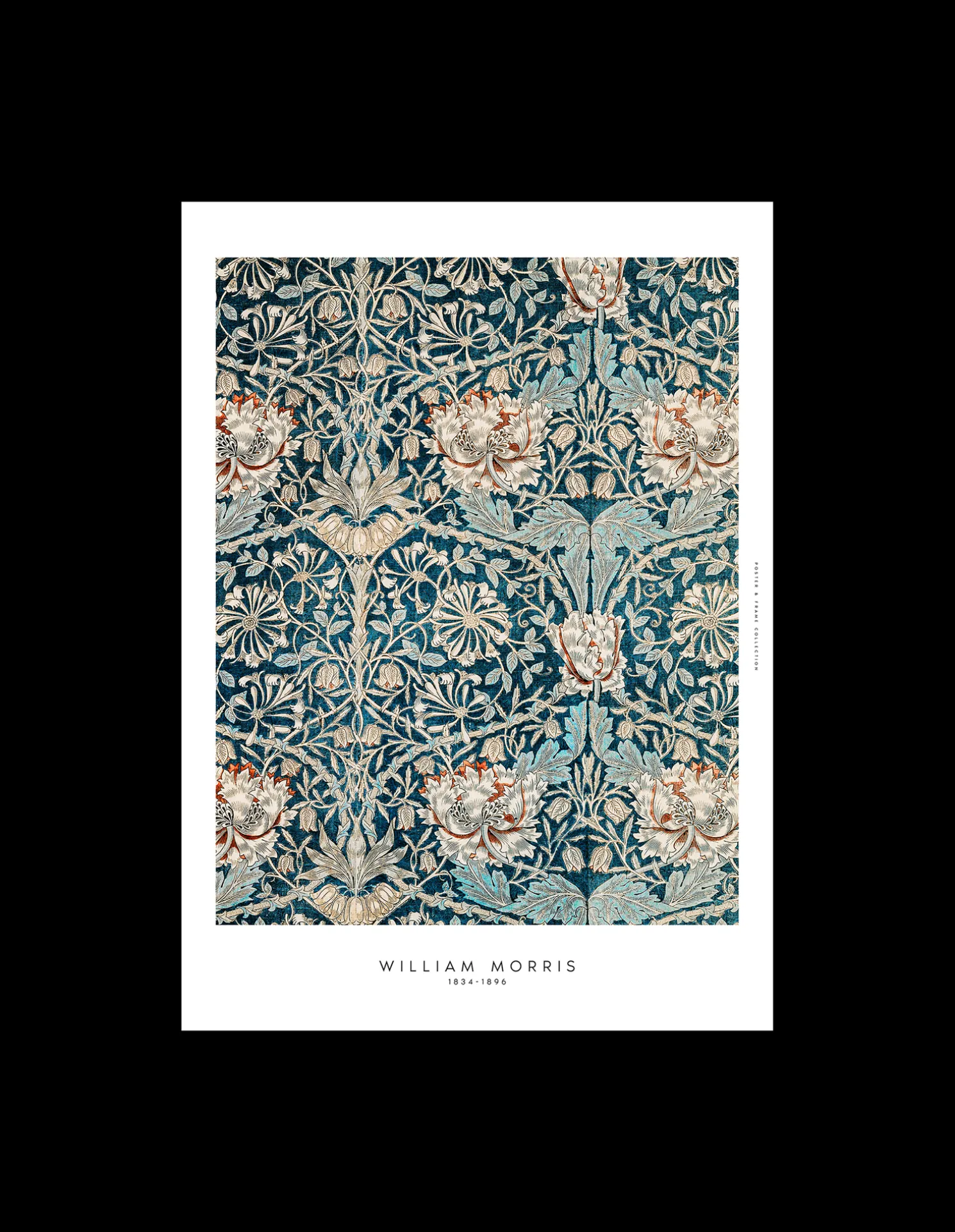 Poster Blue Flowers 40 X 50