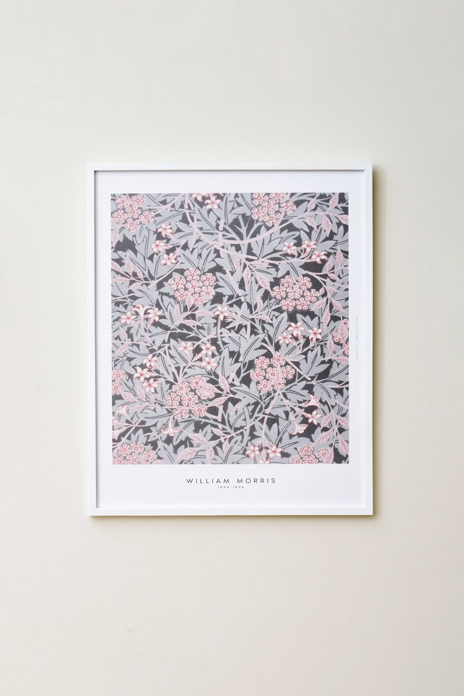 Poster Dust Rose 40 X 50