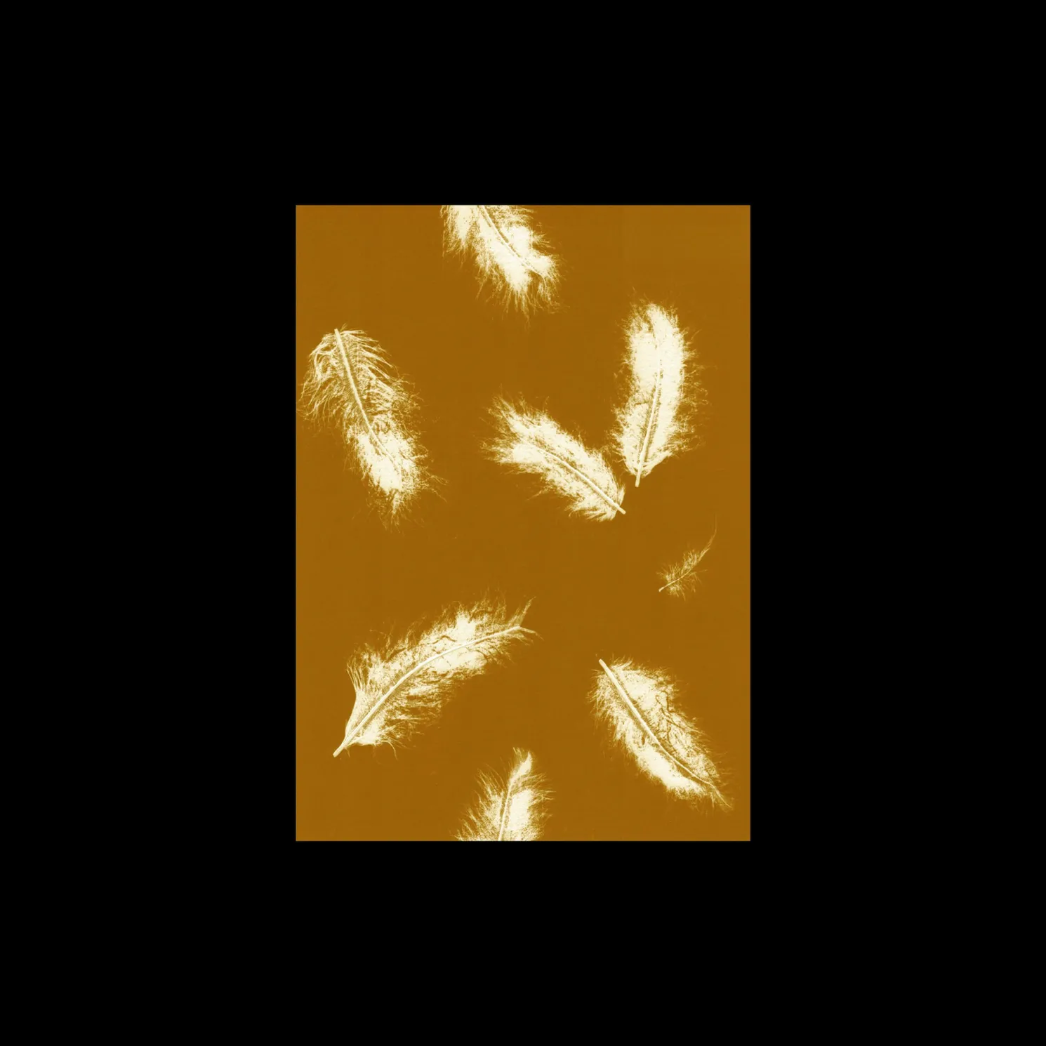 Poster Feather Dark Mustard 40 X 50