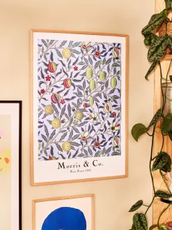 Poster Four Fruits 50 X 70