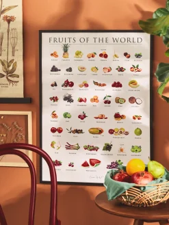 Poster Fruits Of The World 50 X 70