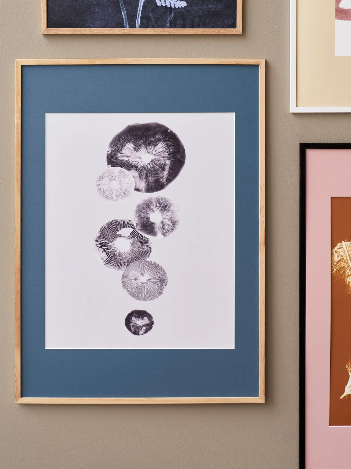 Poster Mushroom - 4 Grey 40 X 50