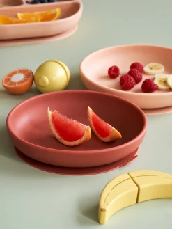 Teller Mit Saugnäpfen