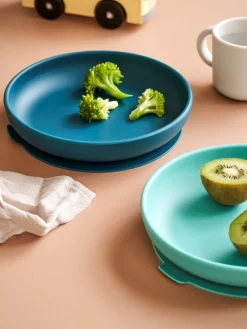 Teller Mit Saugnäpfen