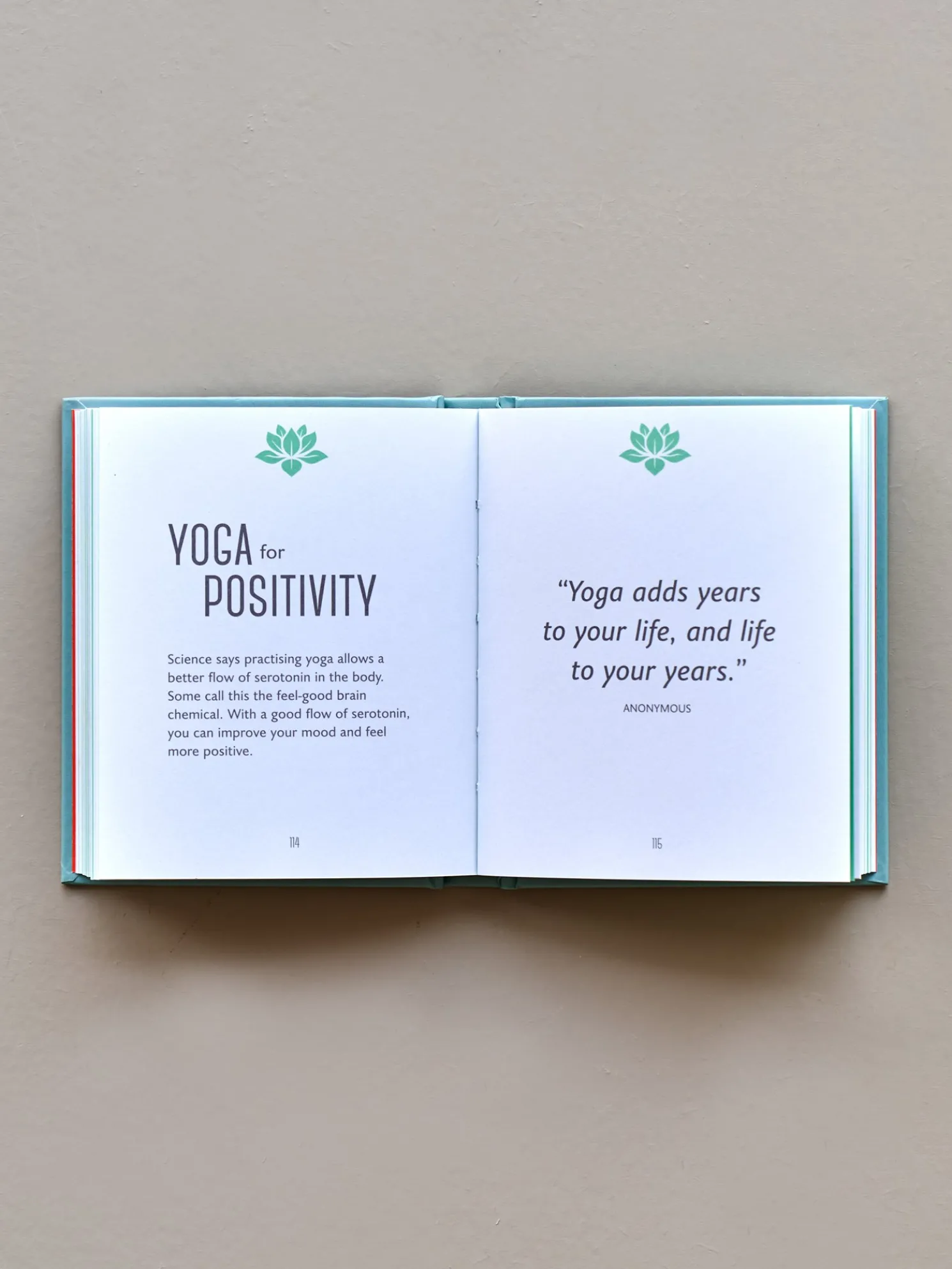 The Little Book Of Yoga