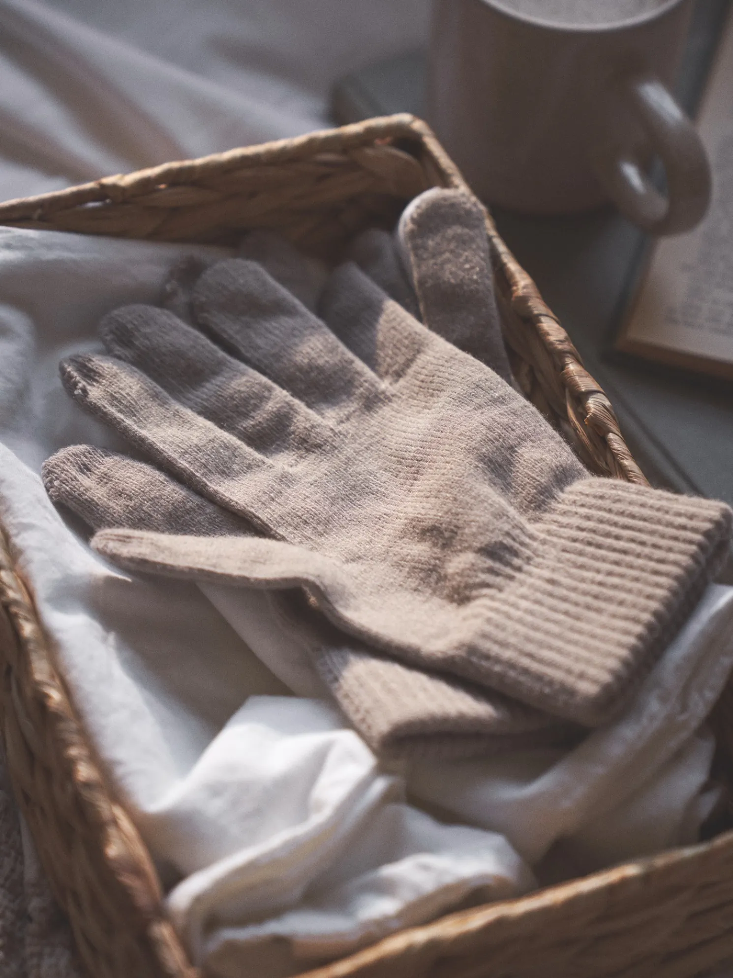 Touchscreen-Handschuhe Für Erwachsene