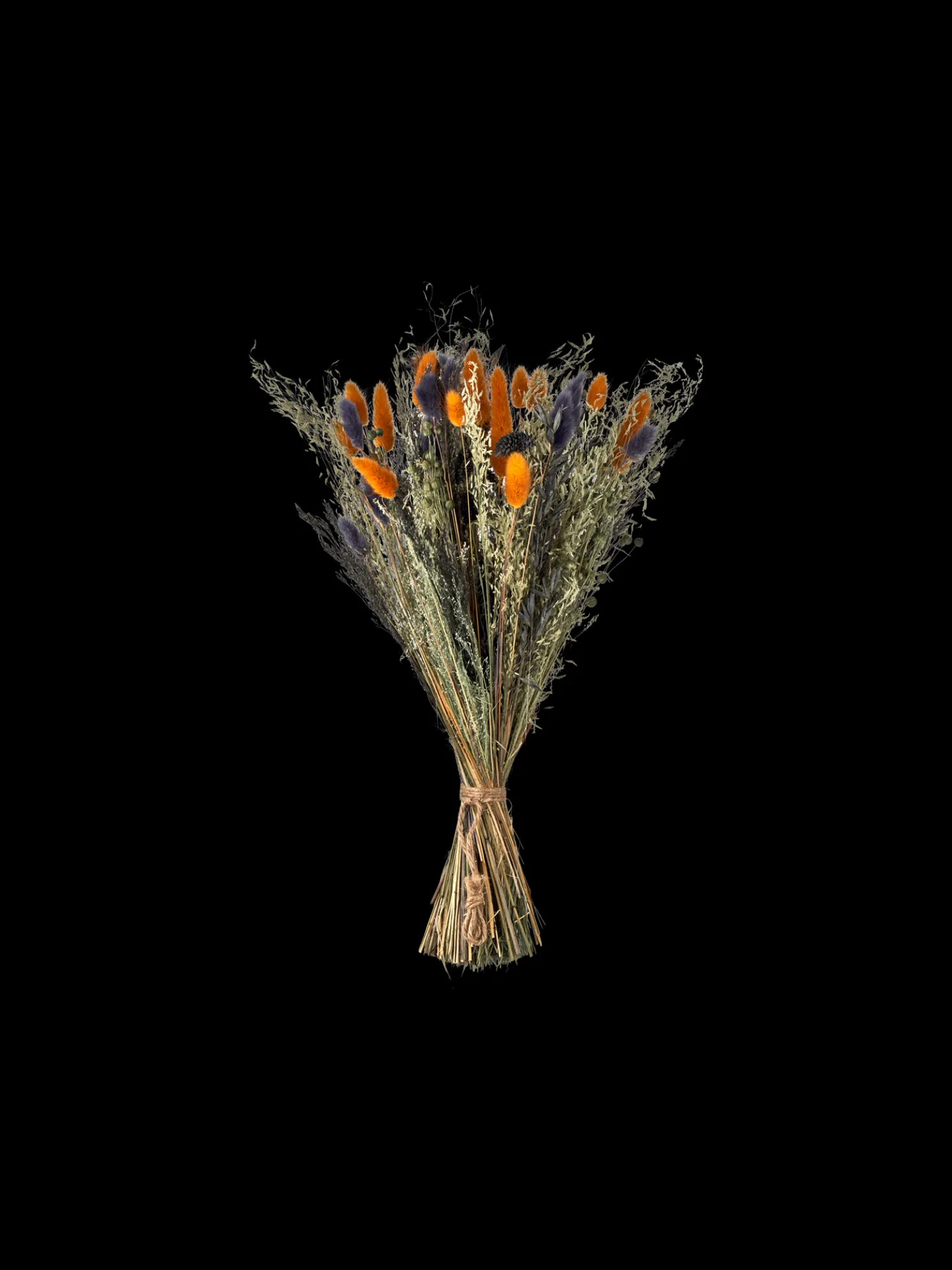 Trockenblumen Blue Klein