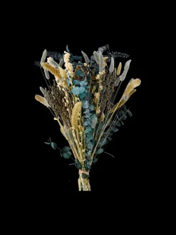 Trockenblumen Fiola Medium