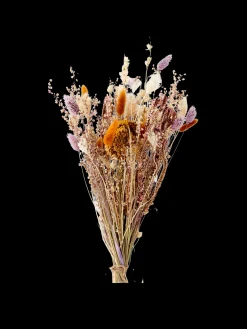 Trockenblumen Flora Klein