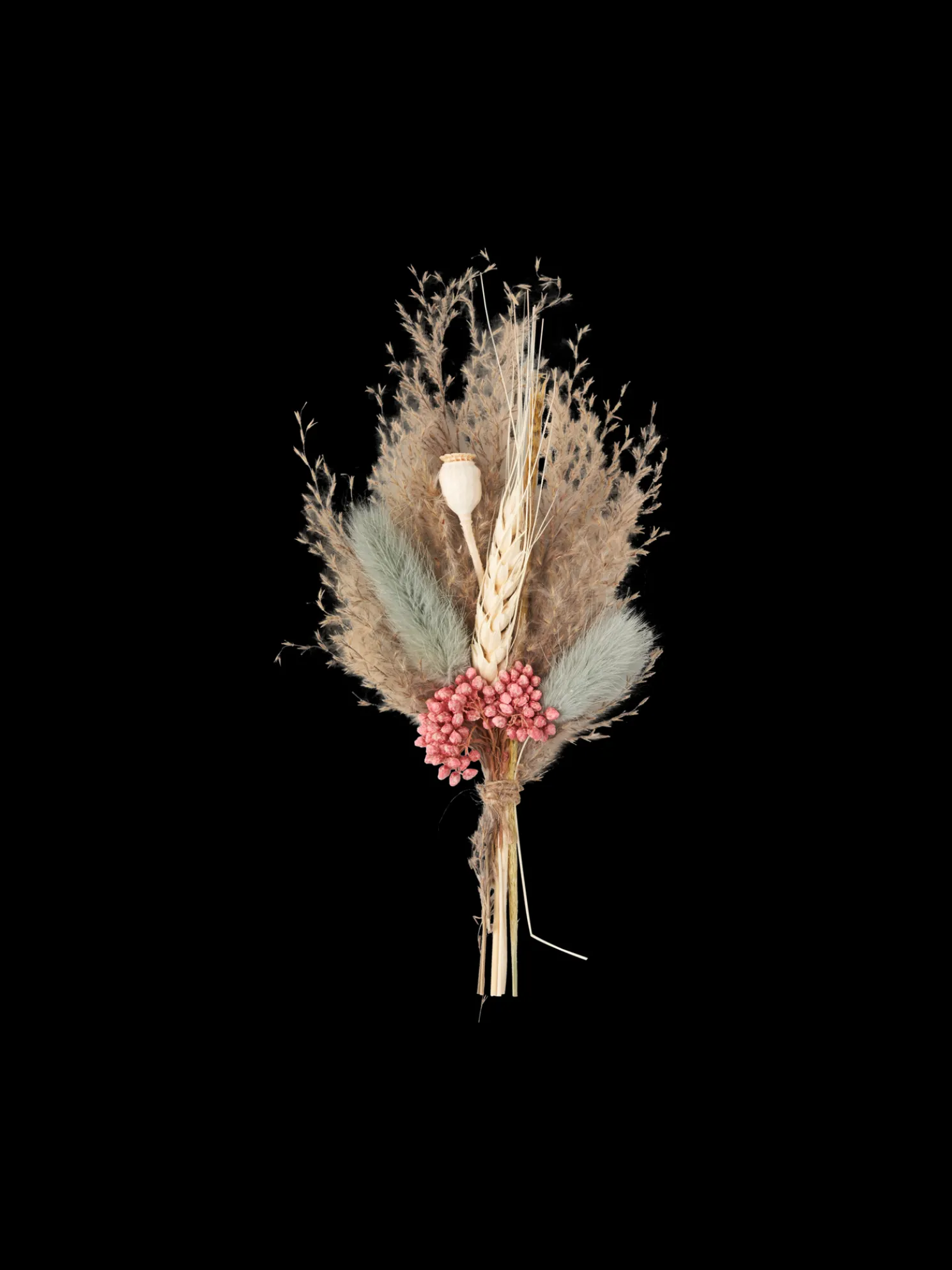 Trockenblumen Für DIY