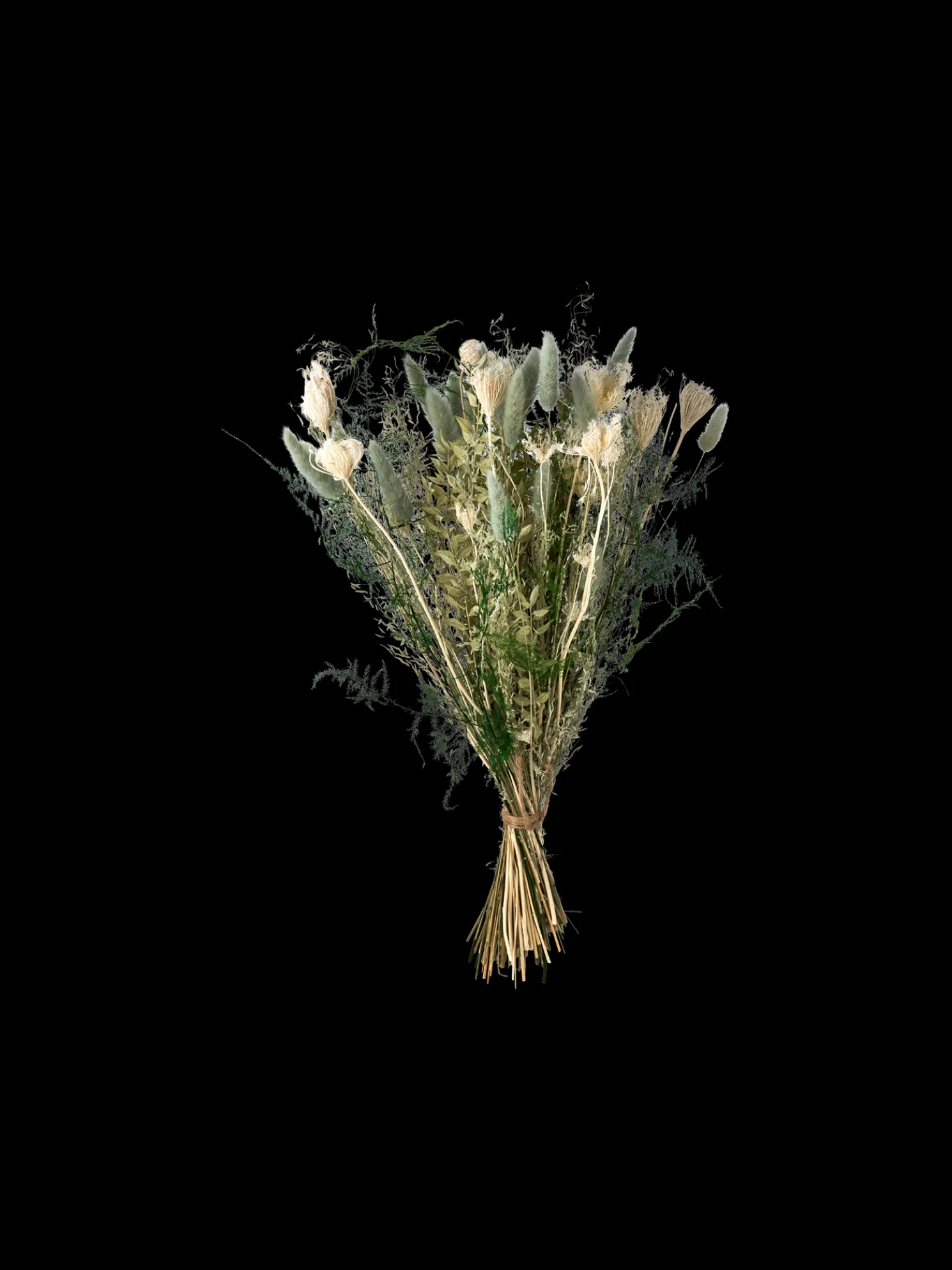 Trockenblumen Iceberg Klein