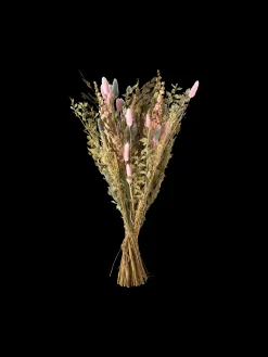 Trockenblumen Iceberg Medium