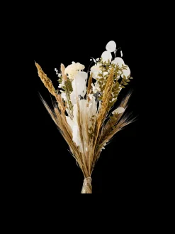 Trockenblumen Lunaria Klein