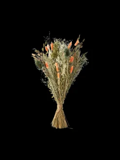 Trockenblumen Orange Medium