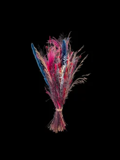 Trockenblumen Pink Medium