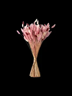 Trockenblumen Pudder Medium