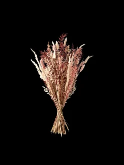 Trockenblumen Rosa Medium