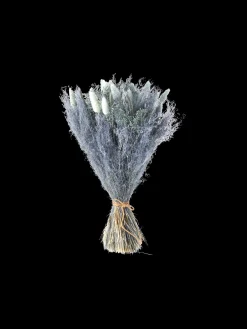 Trockenblumen Silver Grey Klein