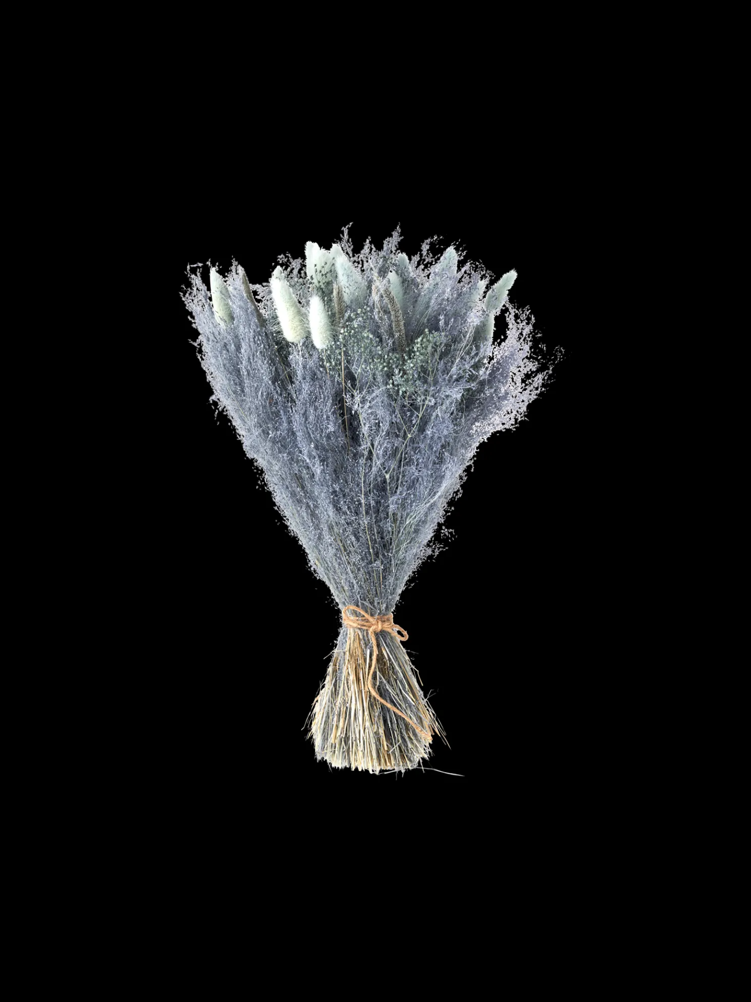 Trockenblumen Silver Grey Klein