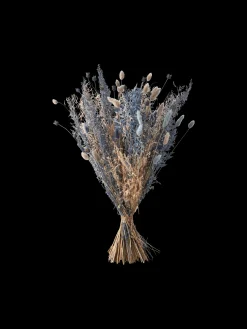 Trockenblumen Silver Medium