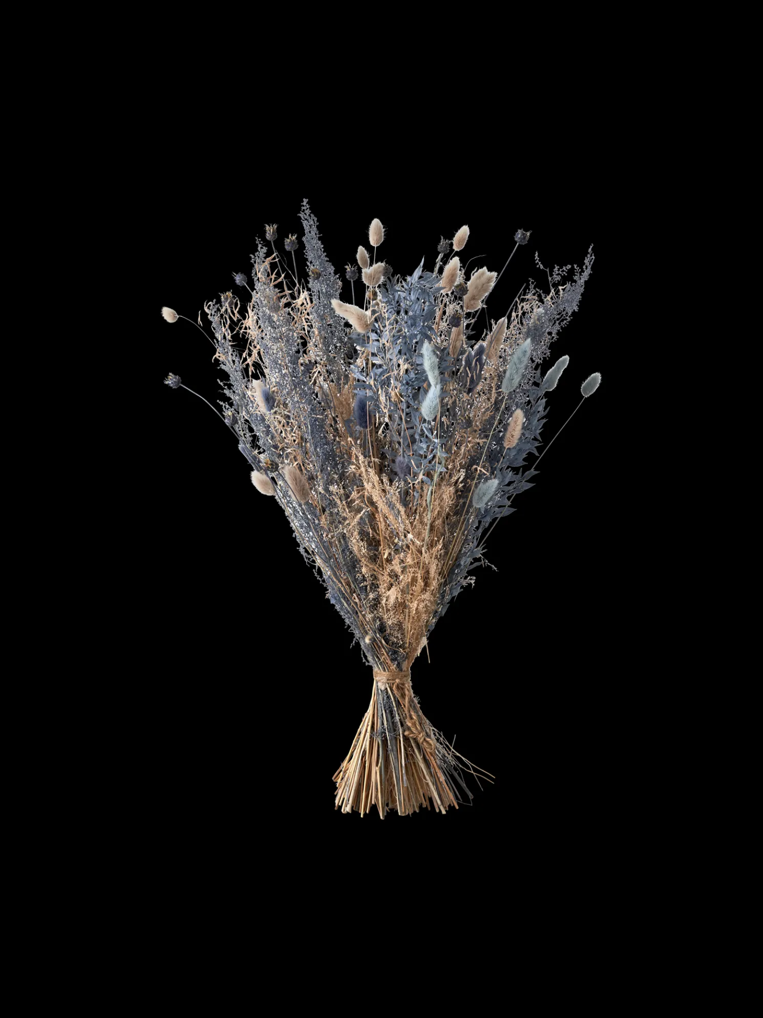 Trockenblumen Silver Medium