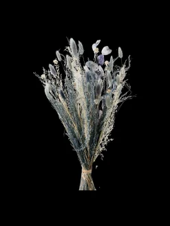 Trockenblumen Vigga Klein